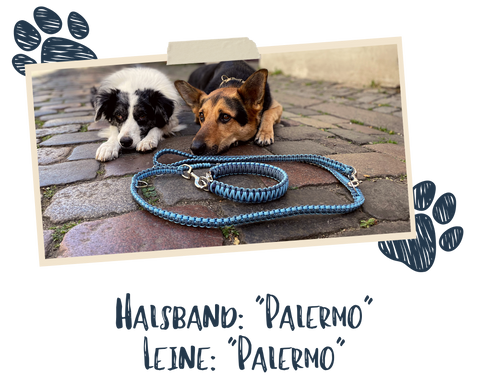 DIY Set Paracord Halsband "Palermo"